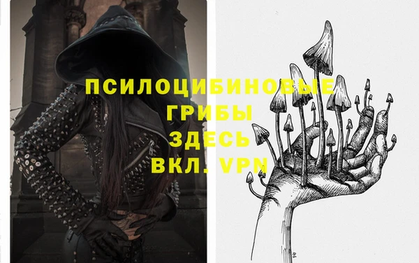 бошки Алзамай