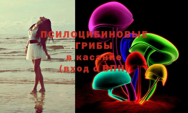 бошки Алзамай